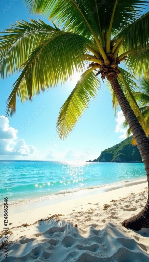 Fototapeta premium Palm trees on sandy beach with clear blue water, warm sun shining down, palm tree, film grain