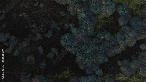 Aerial view of the Struie in the Scottish Highlands of northern Scotland UK 