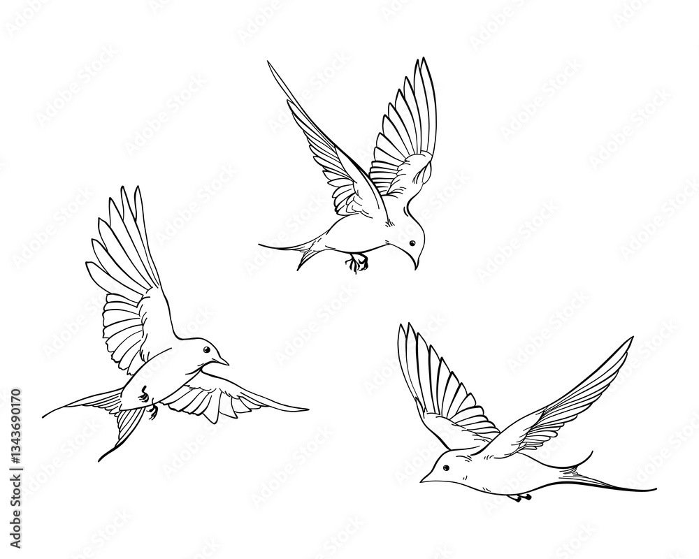 Obraz premium Set of line art illustration of flying swallows, elegant collection of spring birds, Outline Sketch isolated on white for postcard, freedom concept, nature theme, romantic mood, harmony state of mind