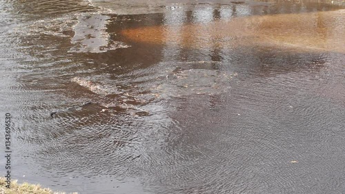 Pieces of ice float gently on a river, creating a tranquil and natural winter scene. The calm water reflects the cold, peaceful atmosphere of the season.