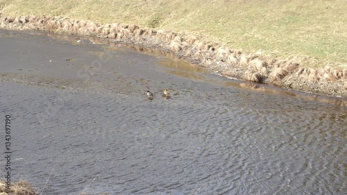 Pieces of ice float gently on a river, creating a tranquil and natural winter scene. The calm water reflects the cold, peaceful atmosphere of the season.