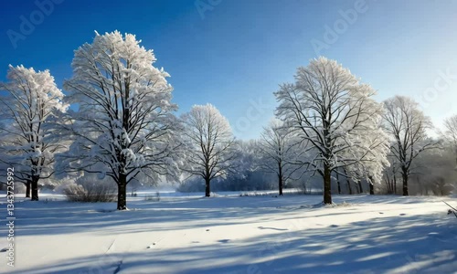Winter Wonderland – A Serene Snowy Landscape

