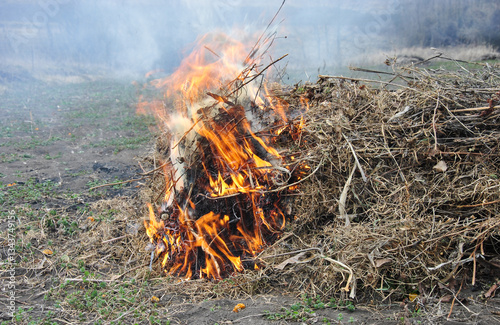 burning dry grass in the garden