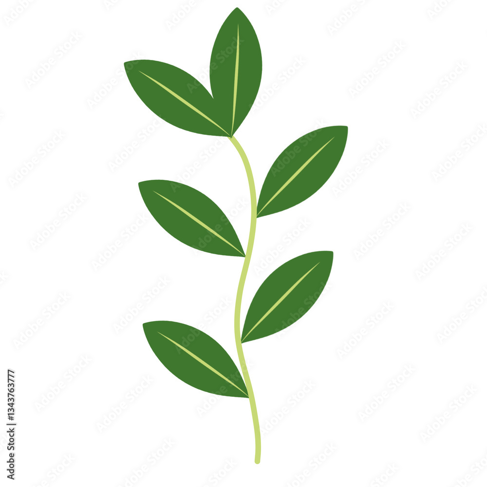 Illustration of green leaves with branches Illustration of green leaves with branches