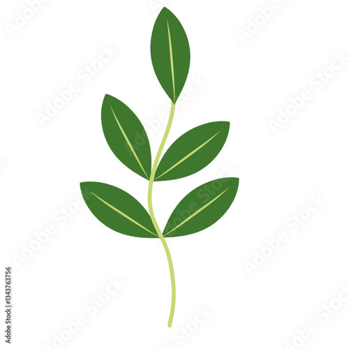 Illustration of green leaves with branches 