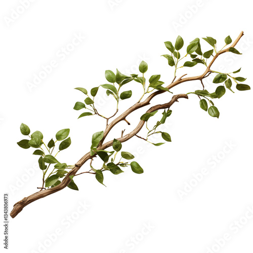 Branch with green leaves displays vibrant natural beauty suitable for decor or crafting projects