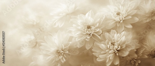 Beige floral bloom in soft focus, a dreamy display of petals against a blurred backdrop