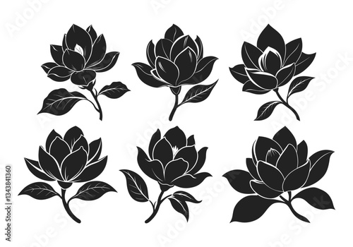 magnolia flower silhouette