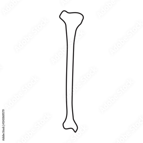 tibia bone anterior line icon