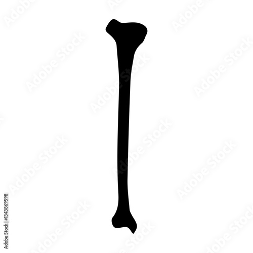 tibia bone anterior glyph icon