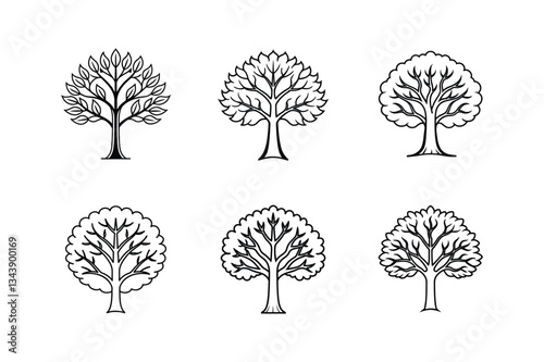 beech tree line art vector illustration