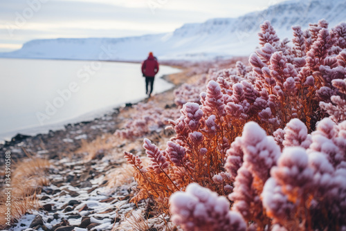 Arctic tundra, with its colorful lake embraced by snow draped vistas, pristine waters, and an overwhelming aura of seclusion and untainted splendor, exudes a quiet majesty that leaves one in awe