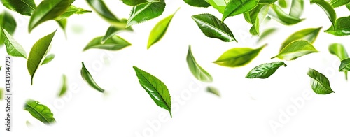 Fresh Tea Leaves Falling