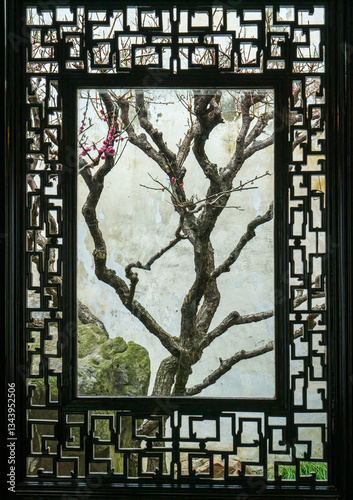 Wallpaper Mural Ancient Plum Blossom Through Traditional Chinese Window Torontodigital.ca