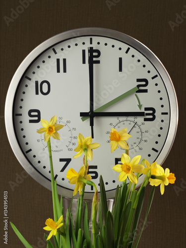 A clock among daffodils: the gray-green hand points to two o'clock, the black one to three o'clock. The yellow arrow indicates the direction of the hands' movement. Time change to daylight saving time