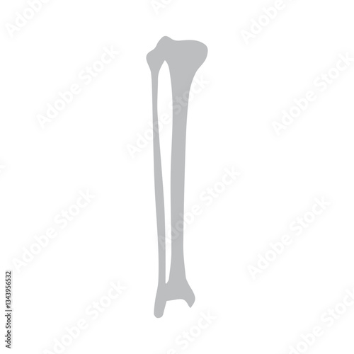 tibia and fibula anterior icon