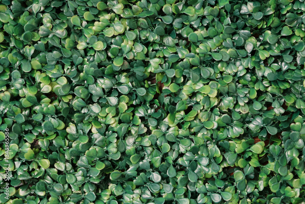 Green artificial plant texture background. Small green leaves are made of a plastic-patterned background.