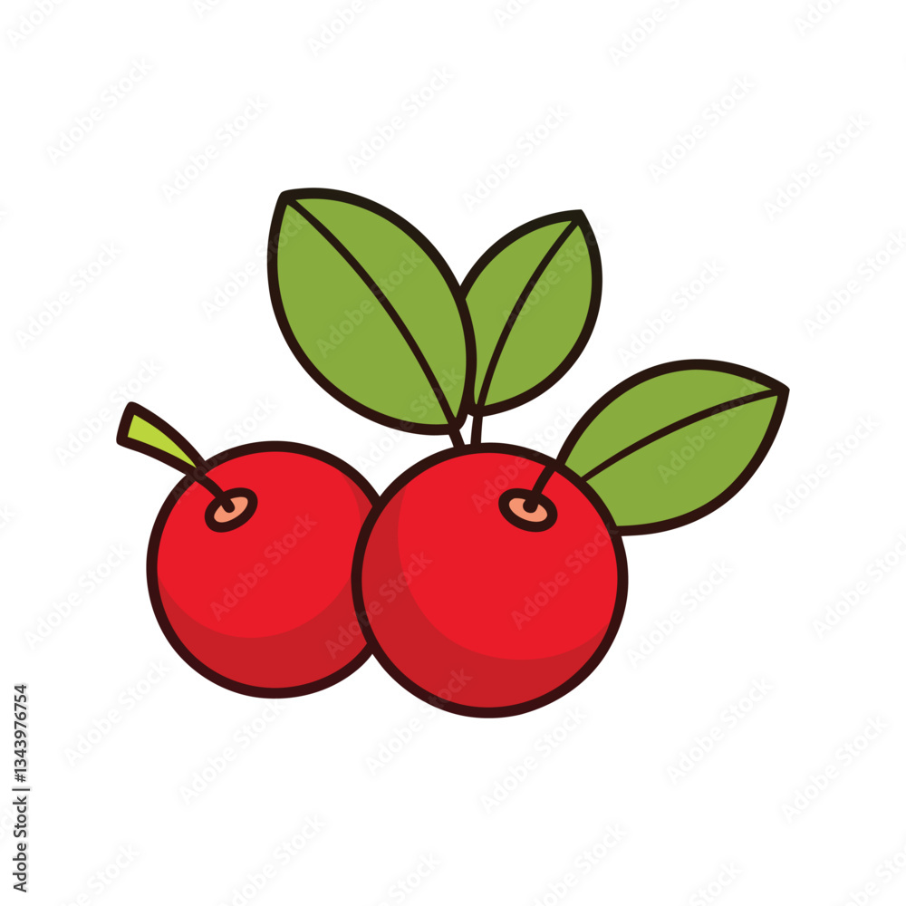 Obraz premium Cranberry vector with white background