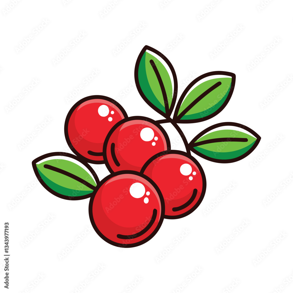 Obraz premium Red cranberry vector with white background 