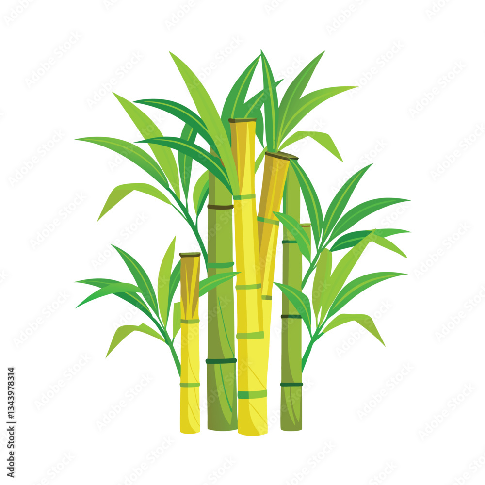 Naklejka premium Bamboo isolated on white background