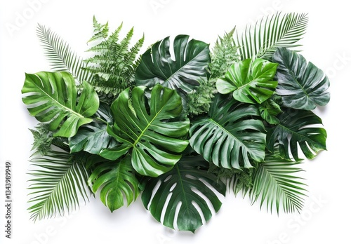 Tropical leaves arrangement. Lush green foliage.  A vibrant display of exotic plants