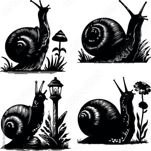 Set of Various Snail Shell Outlines in Black and White Ink Illustration Vector Art
