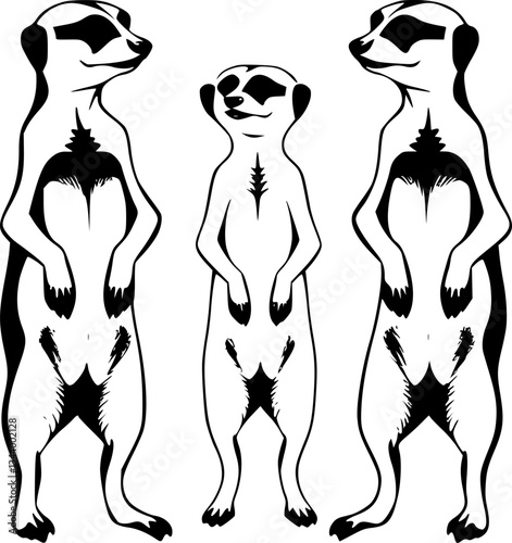 Meerkats standing on hind legs monochrome illustration