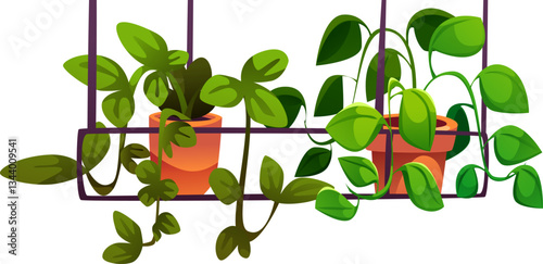 House Plant in Pot
