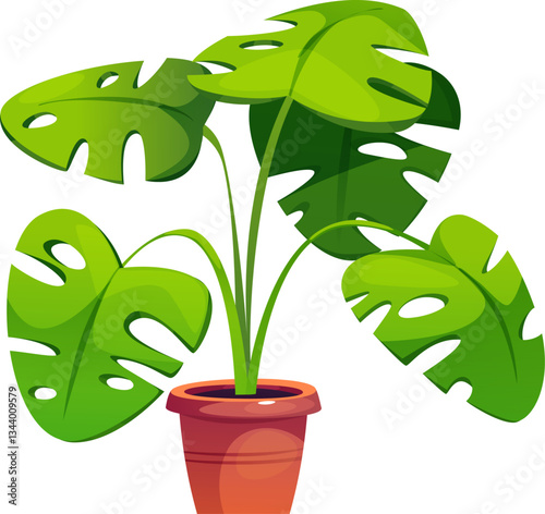 Monstera in Pot