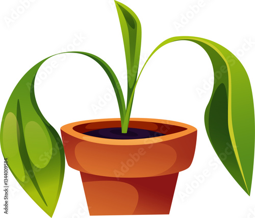 House Plant in Pot