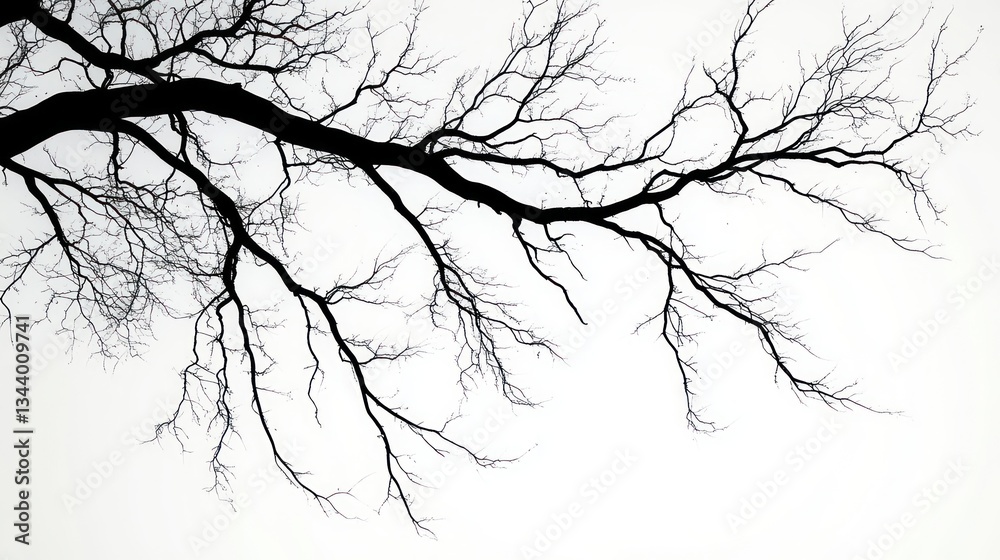 Fototapeta premium Minimalist Black and White Tree Branches Silhouette Modern Japanese Ink Art High Contrast Negative Space Composition