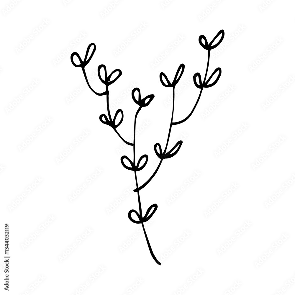 branch of tree branch of tree