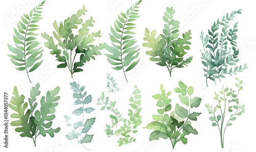 .Illustration of trees, leaves, grass and various botanical elements on a white background.
