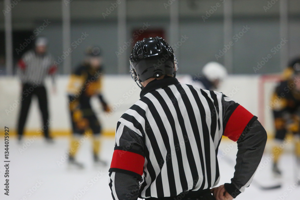 Naklejka premium The referee at a hockey match controls the game. View from the back
