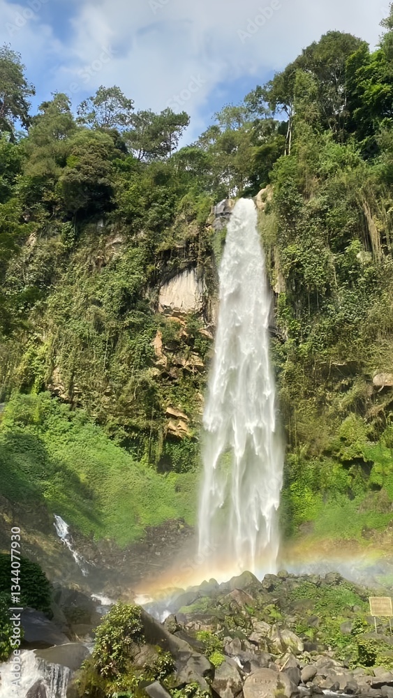 Obraz premium waterfall in the jungle