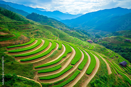 Vibrant terraced rice fields stretching across rolling green hills, with a breathtaking mountain backdrop. A stunning example of traditional agriculture blending harmoniously with nature in a rural la photo