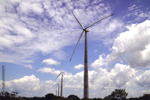 Wallpaper Mural Brazilian wind farm, windfarm, wind turbine on concrete pillars on the Atlantic coast. Green energy near the city of Mossoró, state of Rio Grande do Norte, Brazil. Torontodigital.ca