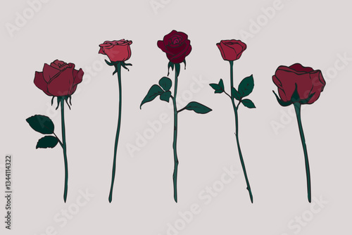 Hand-drawn illustration. Colorful set of long stem roses