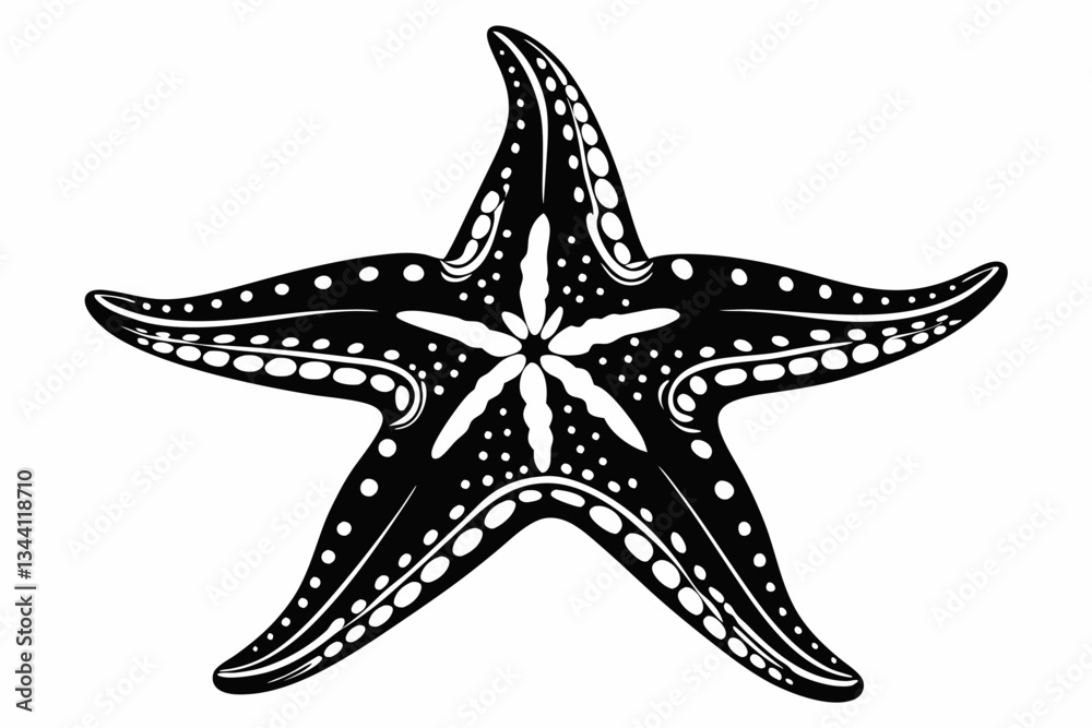 starfish line art silhouette vector illustration starfish line art silhouette vector illustration