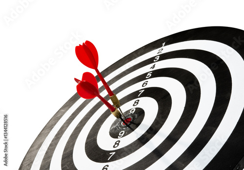 red dart with target for business element photo