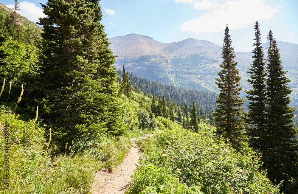 Obraz premium Hiking to Iceberg Lake at Glacier National Park