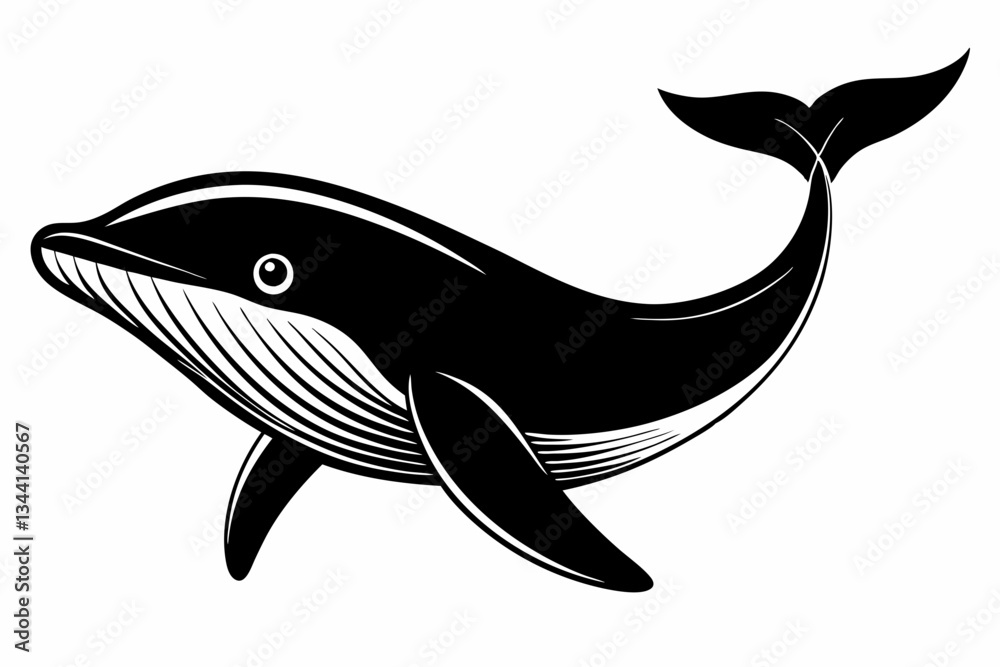 Fototapeta premium whale line art silhouette vector illustration