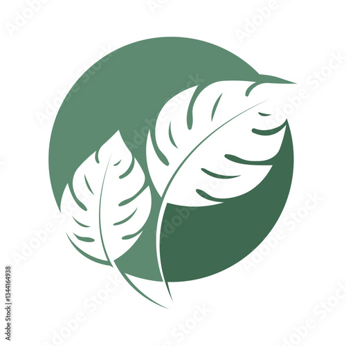 Monstera leaf logo vector design