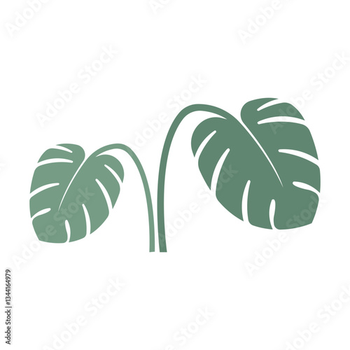 Monstera leaf logo vector design