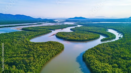 Wallpaper Mural Aerial view of forest ecosystem: unique landscape with mangroves, jungle - covered islands, meandering rivers, clear sky, and distant mountains for environmental protection. Torontodigital.ca