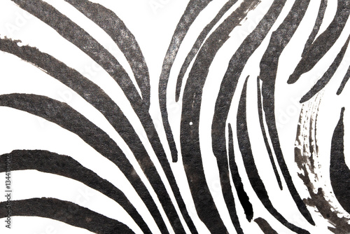 Thick Ink Pen Black Swirly Wavy Lines on White Background Zebra Skin Shapes