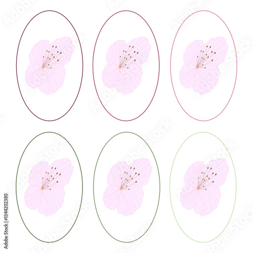 flower botany