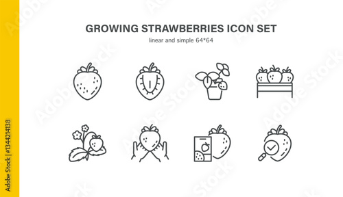 Growing Strawberries Icons. Strawberry Farming Set -Cultivation, Harvest, Seeds, Leaves, Blossom, Container, Berry, Agriculture, Planting, Editable Linear
