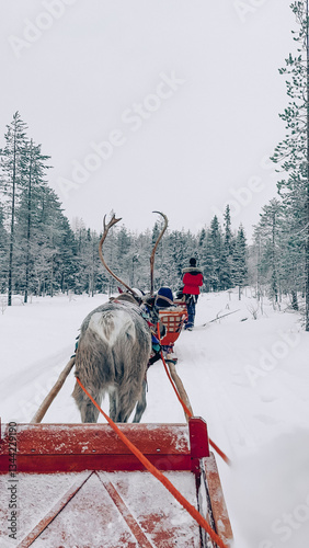 Winter day above the arctic circle