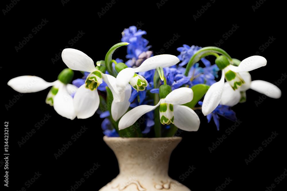 bouquet of spring primroses